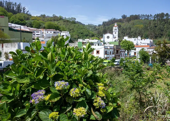 Casa La Palomino Gáldar